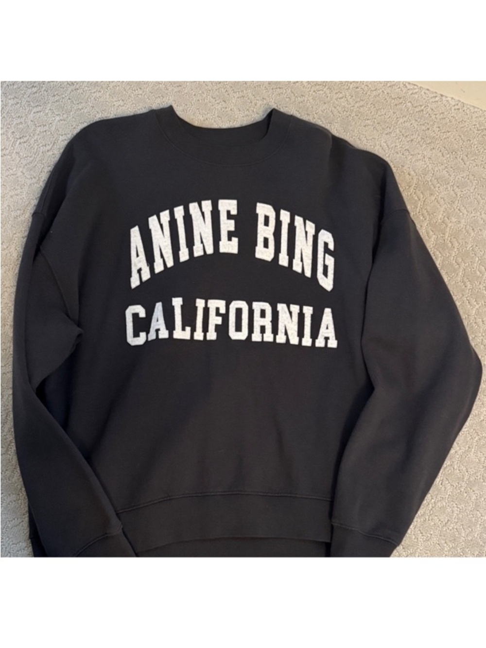 Anine Bing Miles Sweatshirt